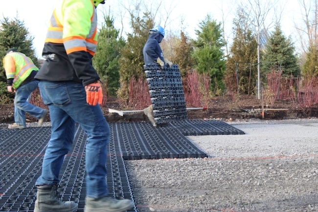 Workers installing Ecoraster permeable pavers with trees in the background
