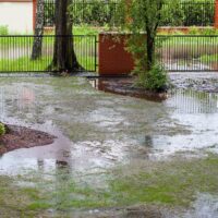 Grass and dirt yard with large puddles after rain, framed by brick walls and metal gates. Trees and overcast sky create a calm, rainy atmosphere.
