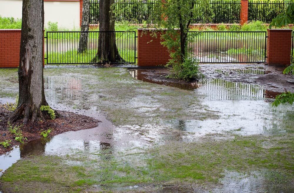 Grass and dirt yard with large puddles after rain, framed by brick walls and metal gates. Trees and overcast sky create a calm, rainy atmosphere.
