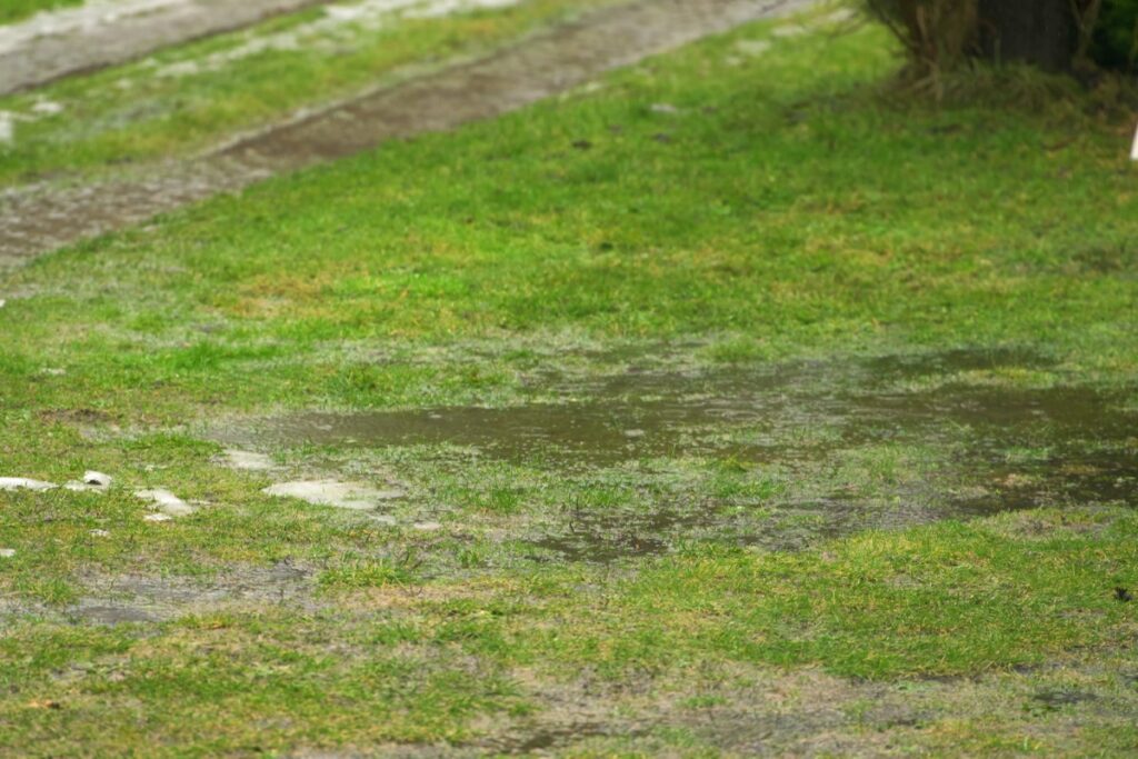 Standing water pooling on saturated ground, a common warning sign of poor drainage before winter